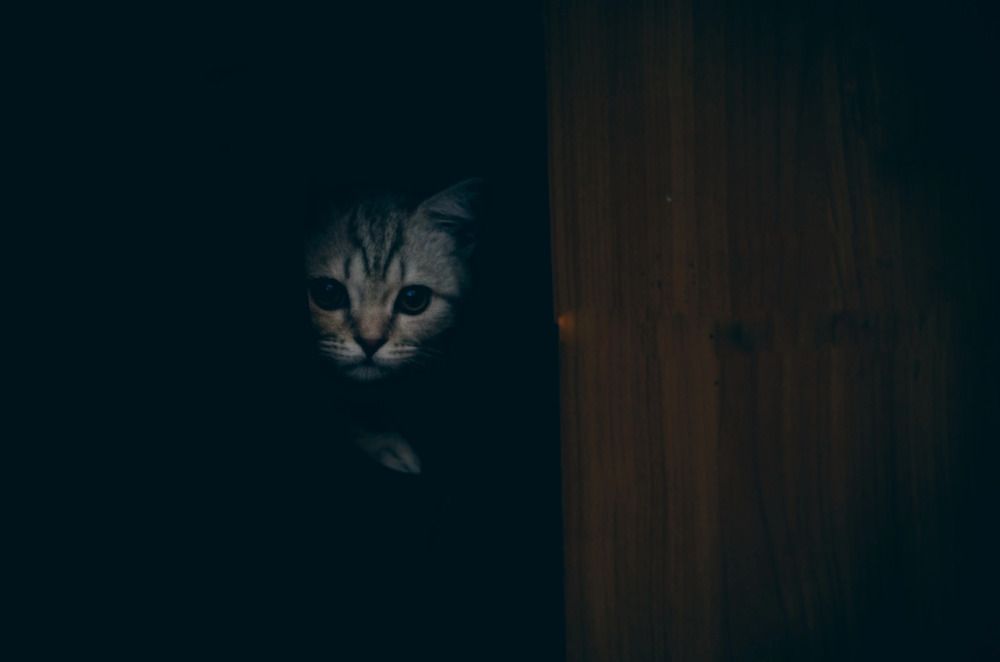 Photograph by Виктория Куликова