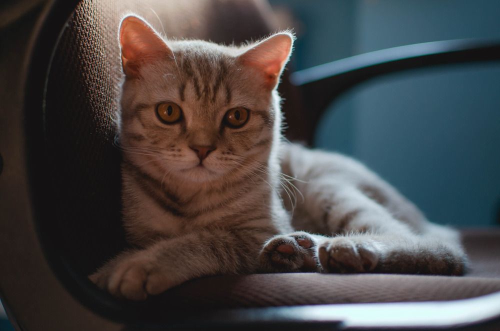 Photograph by Виктория Куликова