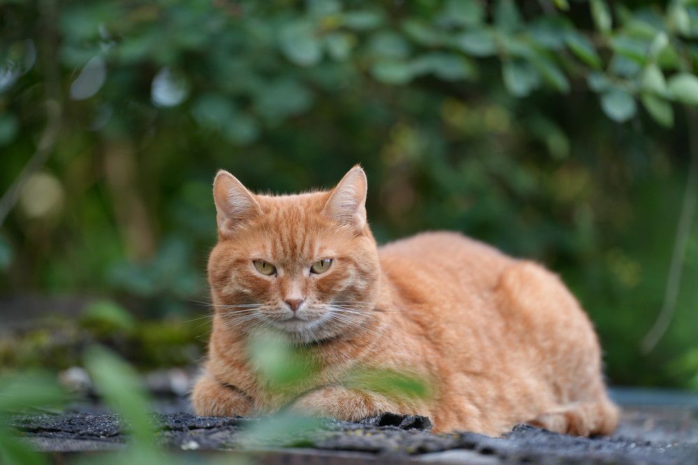 Photograph by Olesya Vladimirova