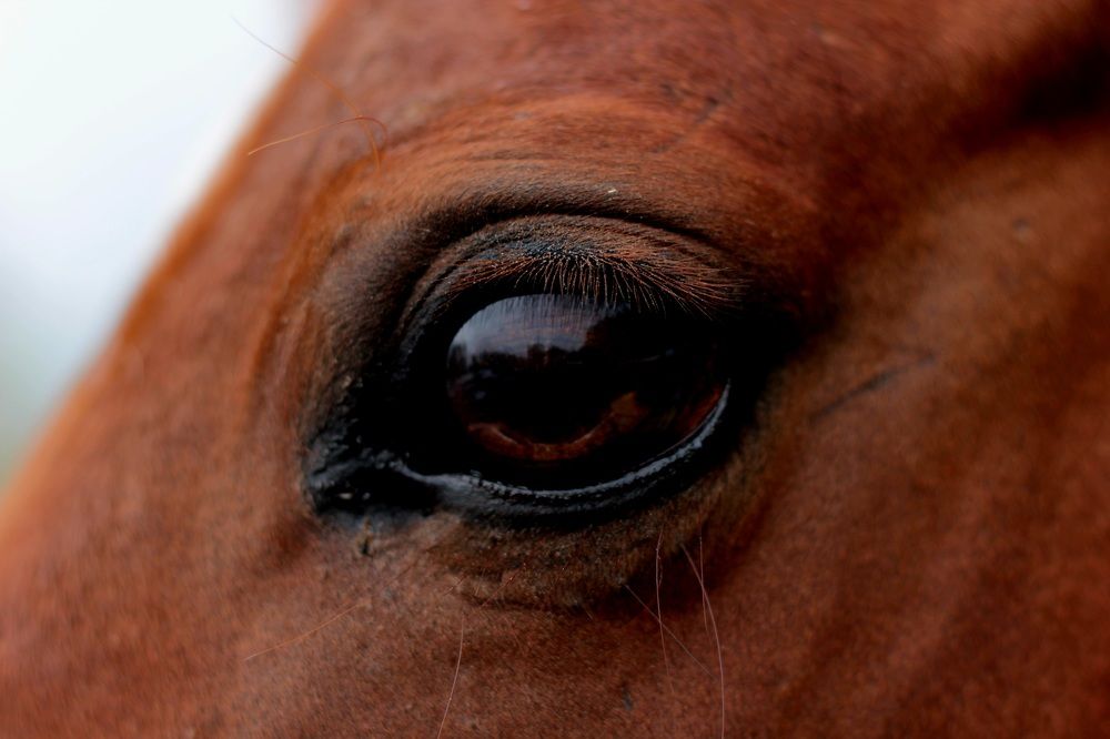 Photograph by Карманов Сергей