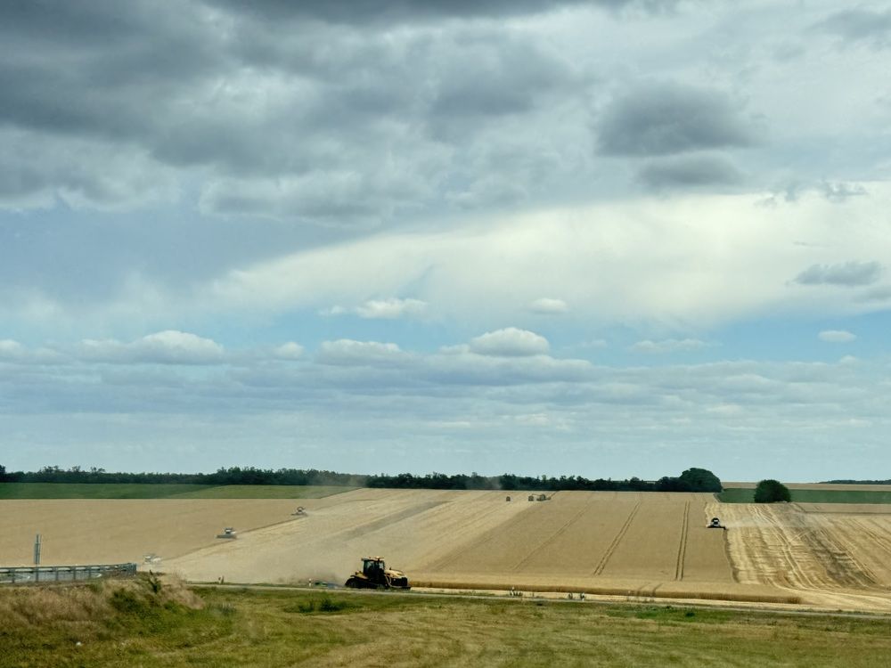 Photograph by Виктория Куликова