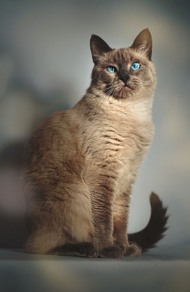 Photograph by Мария Никольская