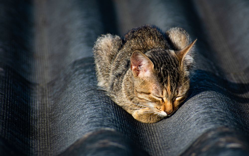 Photograph by Alberto Debs Rosales