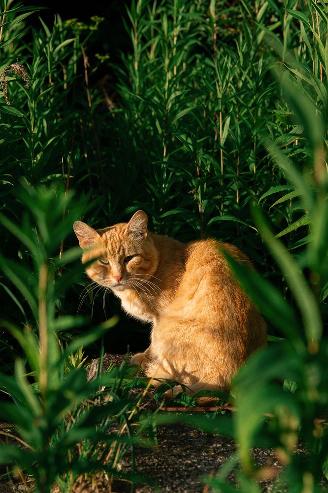 Photograph by Анастасия Улитко