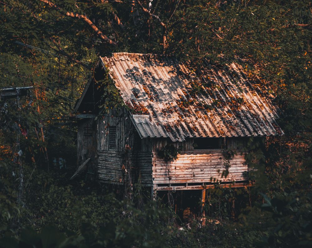 Photograph by Андрей Данилов