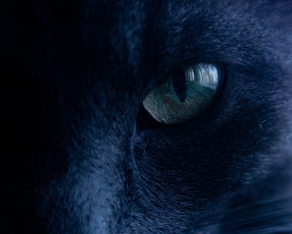 Photograph by Бут-Гусаим Данила