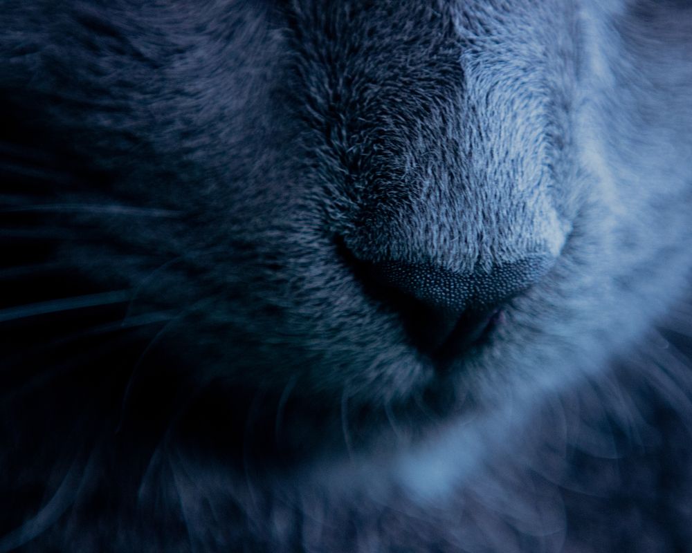 Photograph by Бут-Гусаим Данила