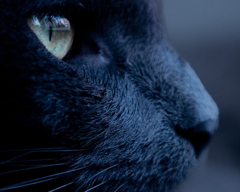 Photograph by Бут-Гусаим Данила