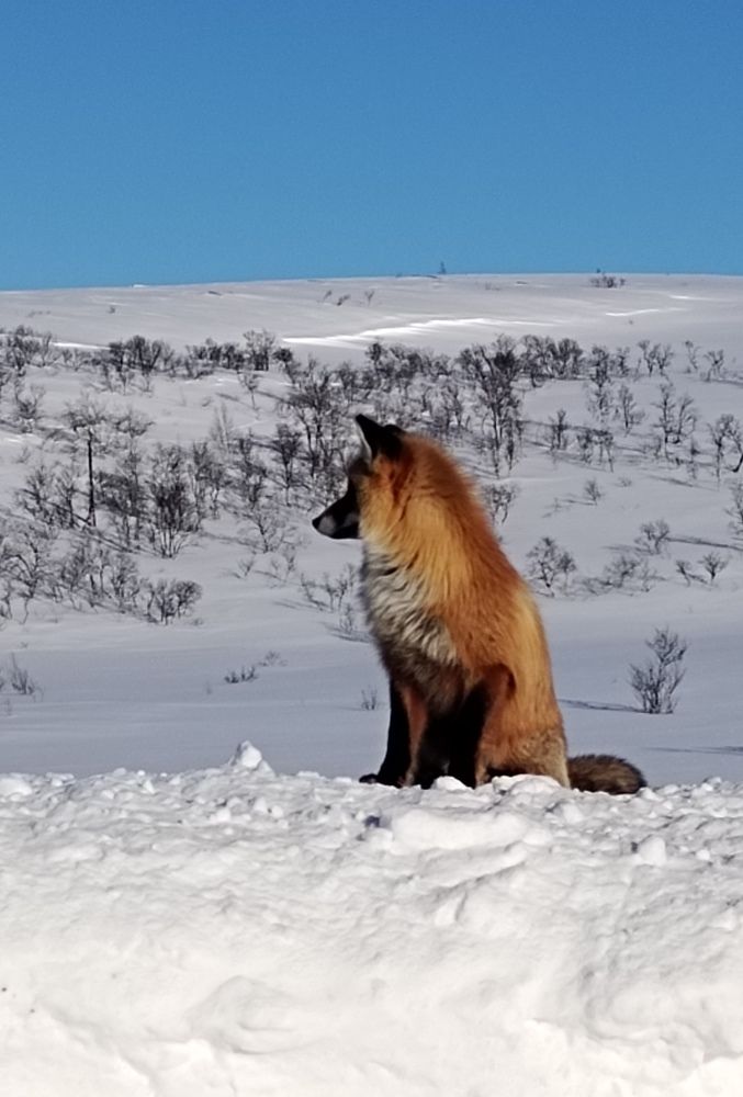 Photograph by Сергей Каверин