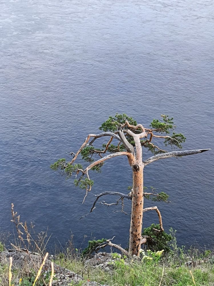 Photograph by Bin Mr.