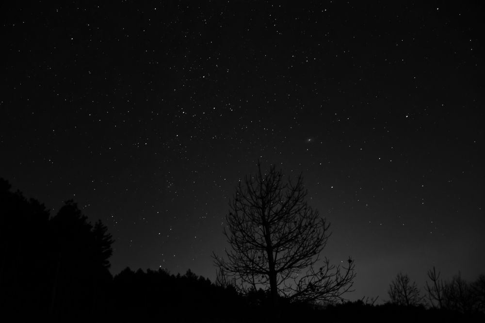 Photograph by Teresa Molinaro