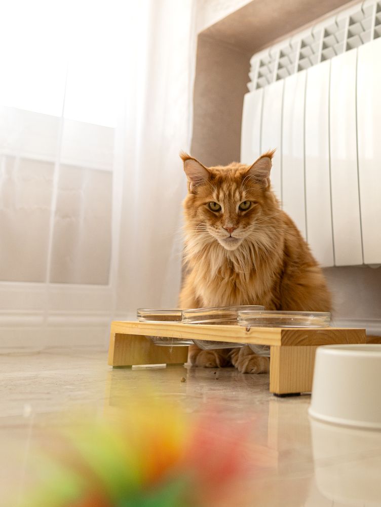 Photograph by Анастасия Улитко