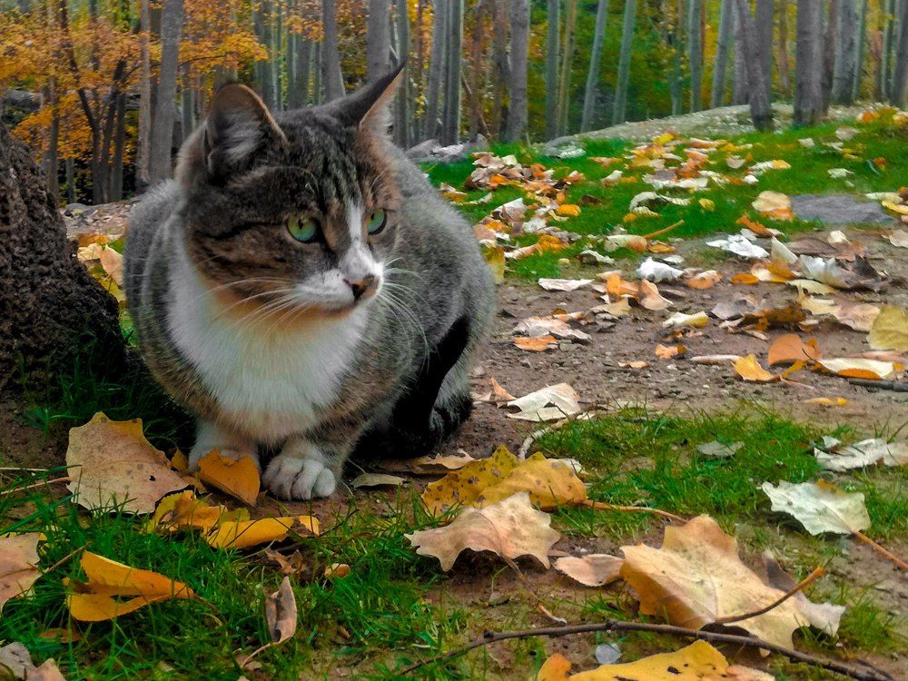 Photograph by علی اصغر آهنگری