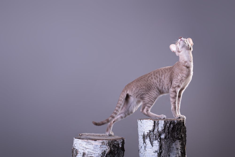 Photograph by наталья залогина