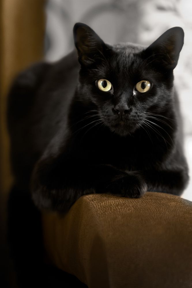 Photograph by Анжелика Соловьева