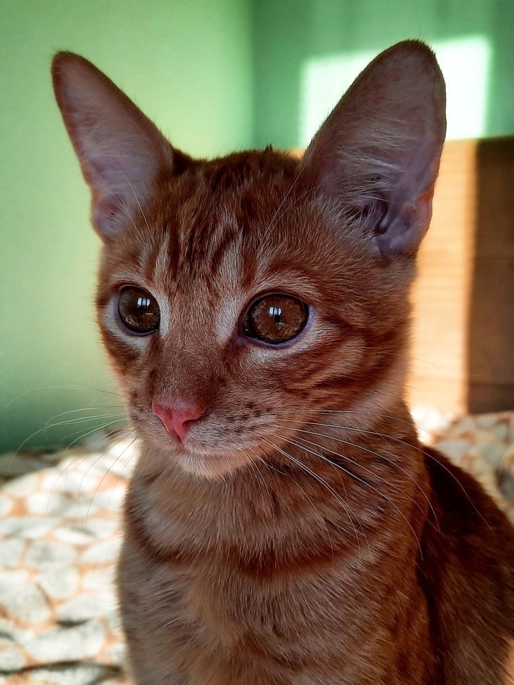 Photograph by Любовь Кочуганова