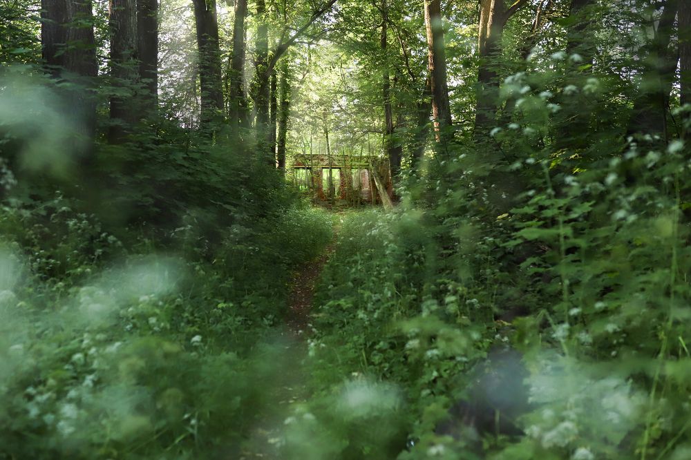 Photograph by Наталья Илюхина