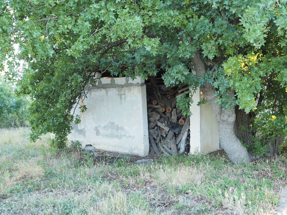 Photograph by Сергей Борисов