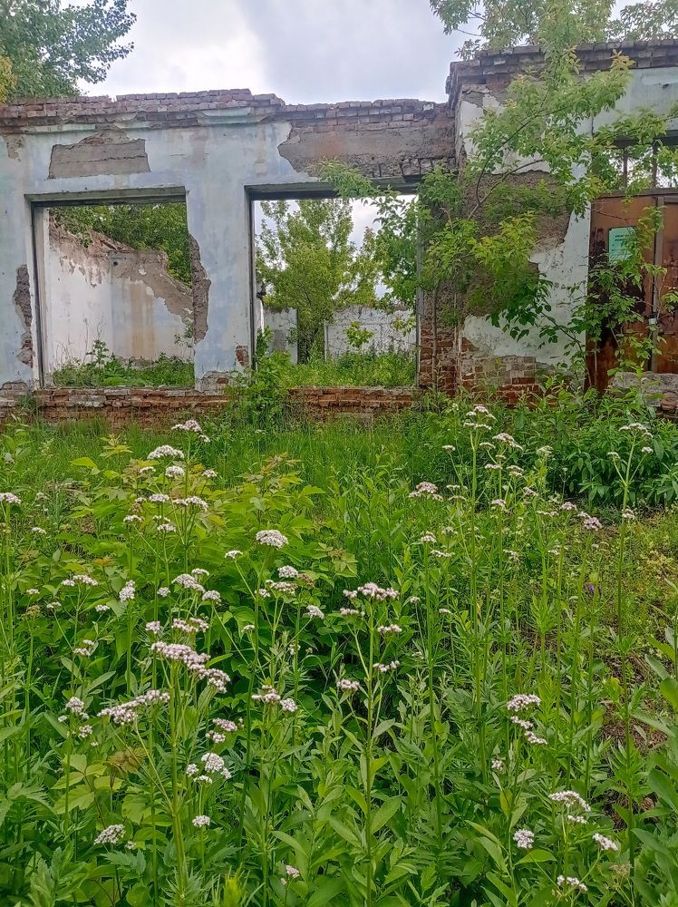 Photograph by Ирина Немкина