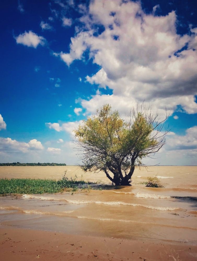 Photograph by Яна Сел