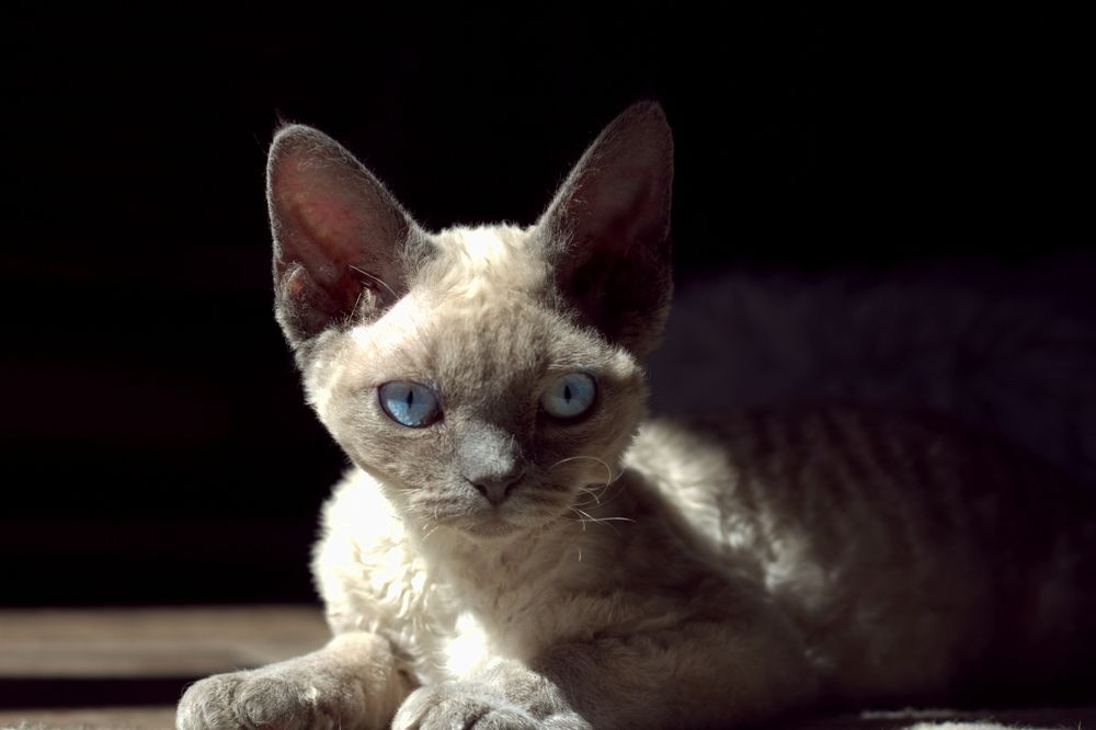 Photograph by Татьяна Федченко