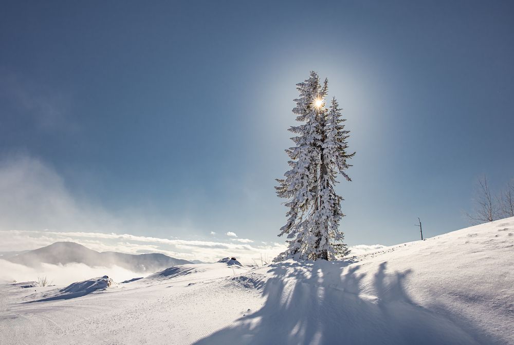 Photograph by Елена Павлова