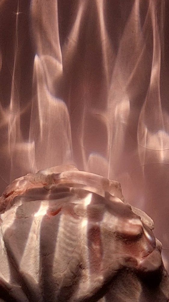 Photograph by Svitlana Usatenko