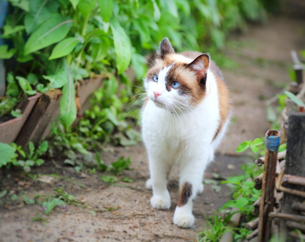 Photograph by Мария Андреева