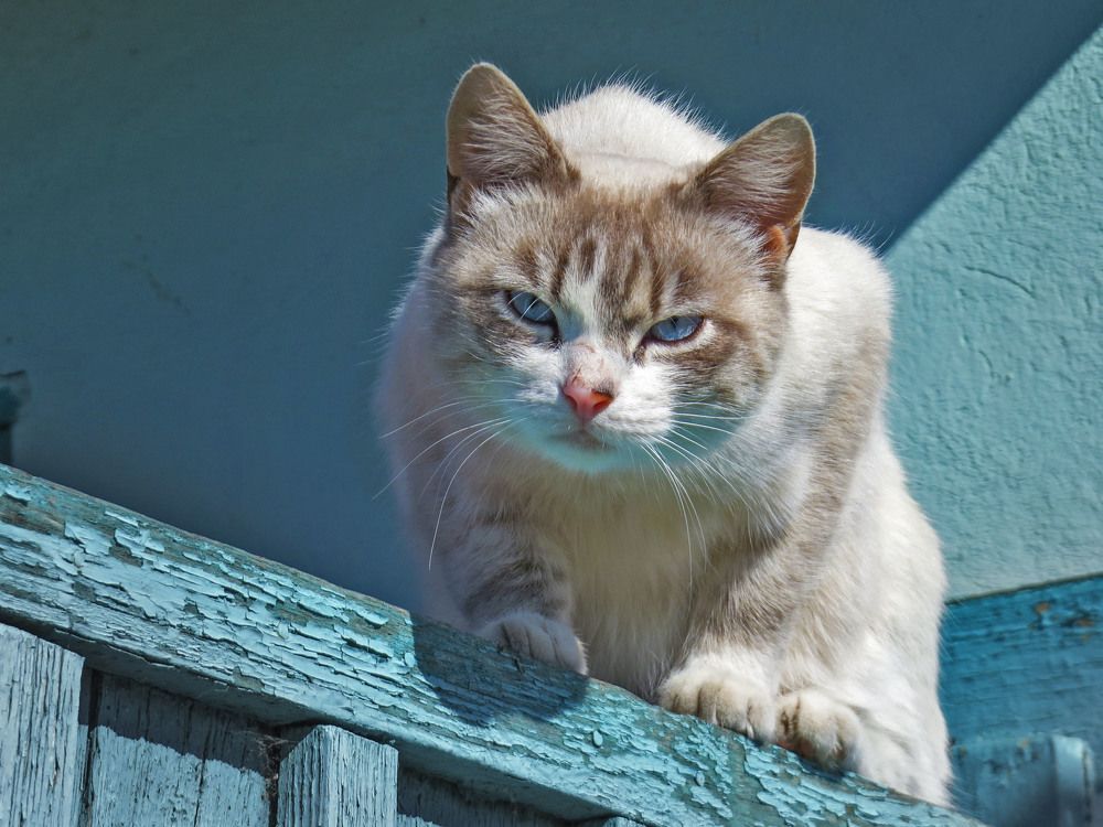 Photograph by Нина Будникова