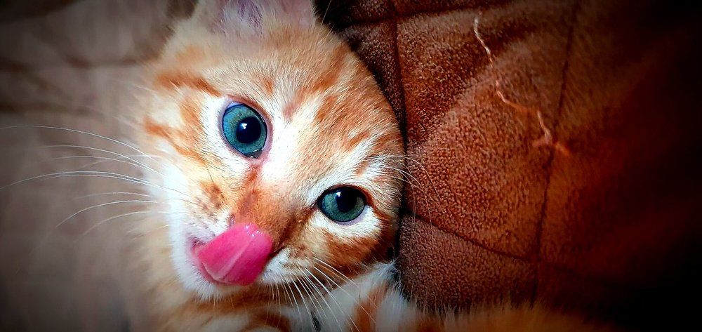 Photograph by Любовь Кочуганова