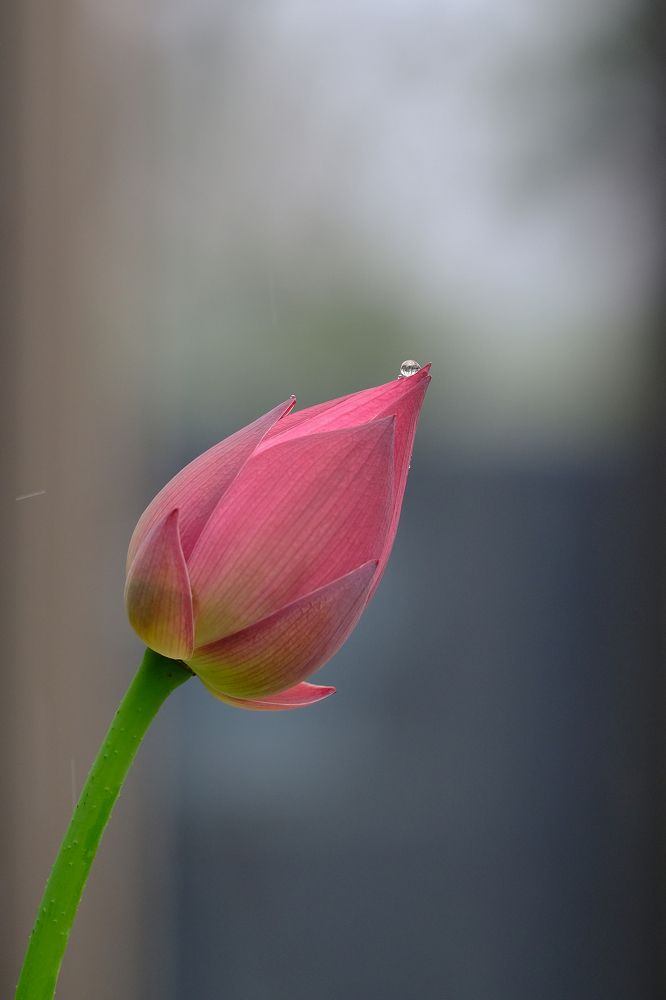 Photograph by Александр Высоцкий