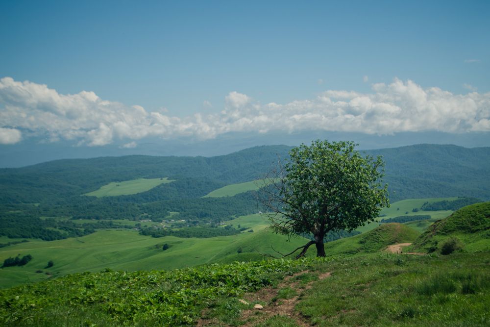 Photograph by Анна