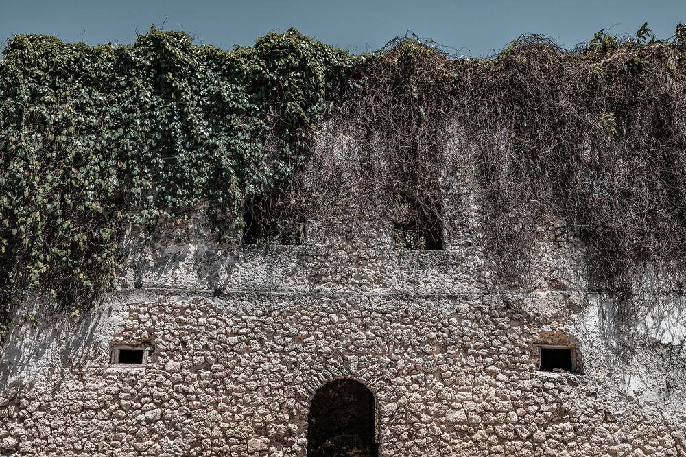 Photograph by Trivet Antony