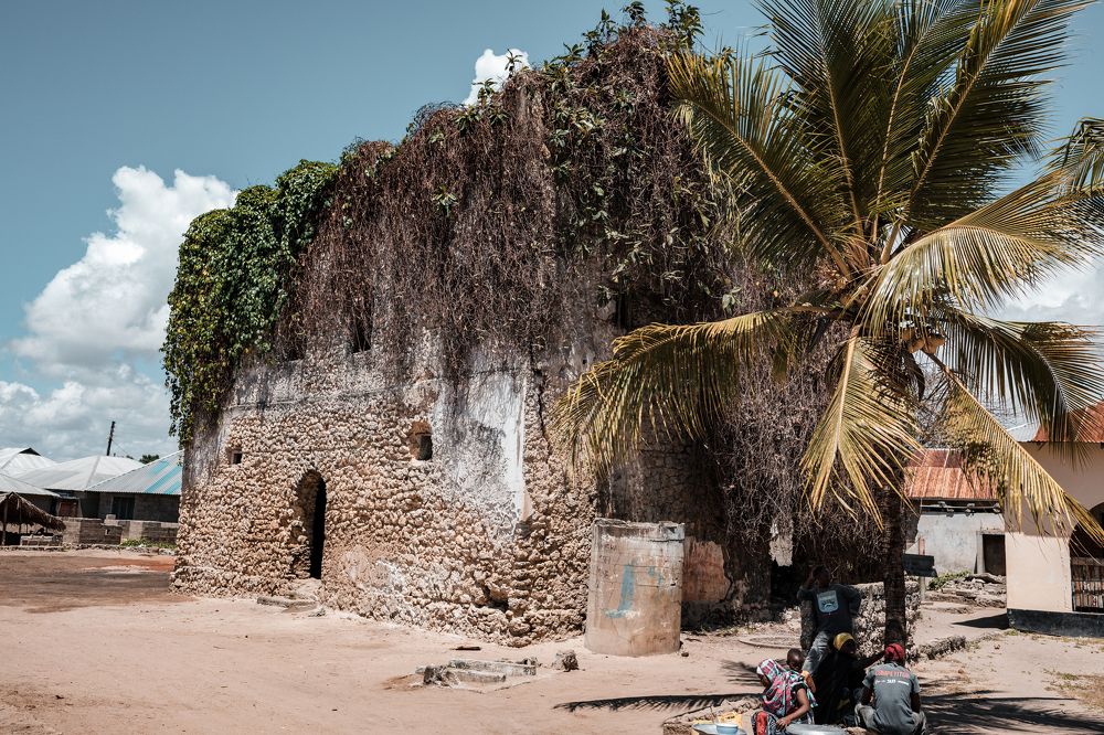 Photograph by Trivet Antony