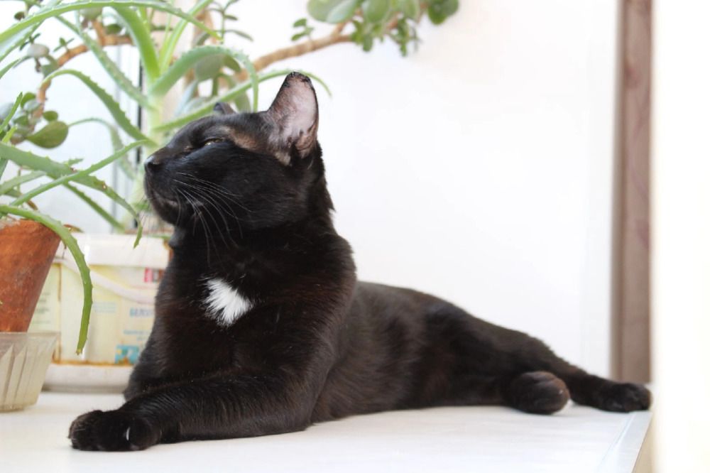 Photograph by Руслан Шиляев