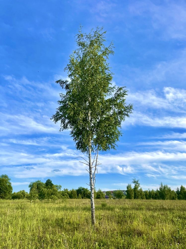 Photograph by Николай Хрупов