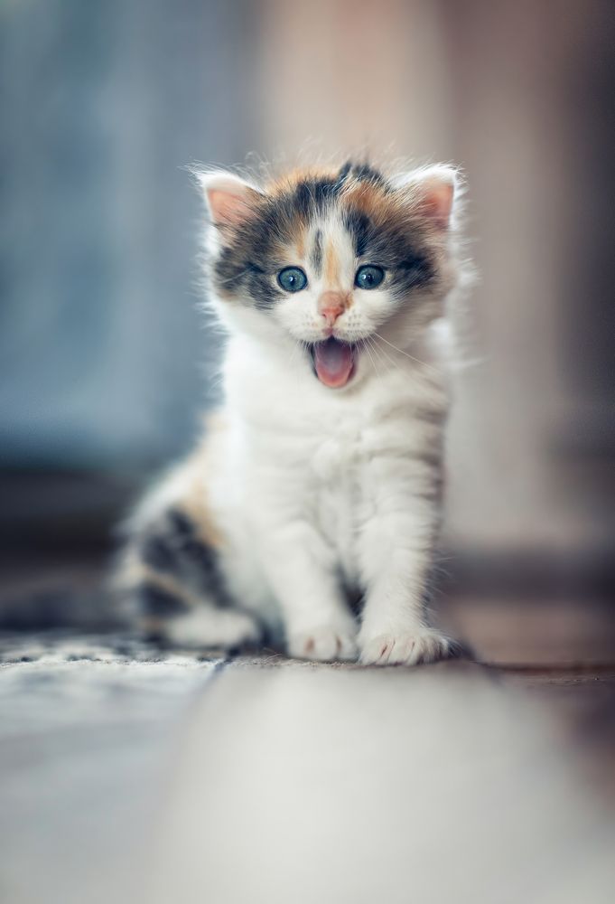 Photograph by Наталья