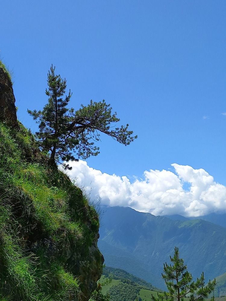 Photograph by Людмила Сотникова