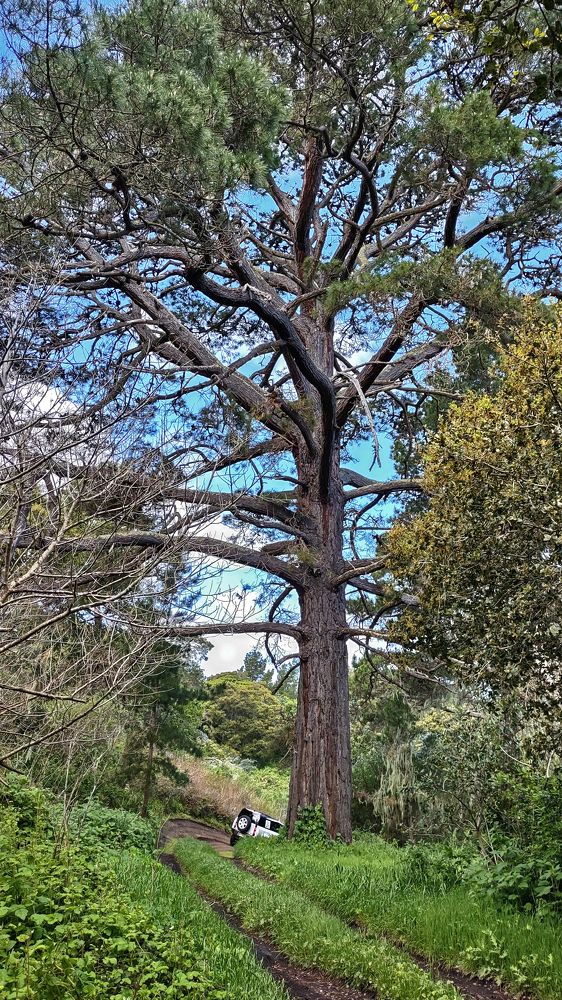 Photograph by Гришанов Пётр