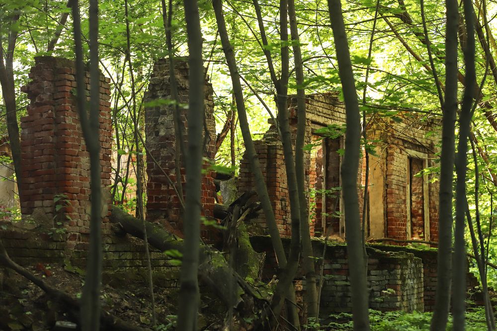 Photograph by Наталья Илюхина