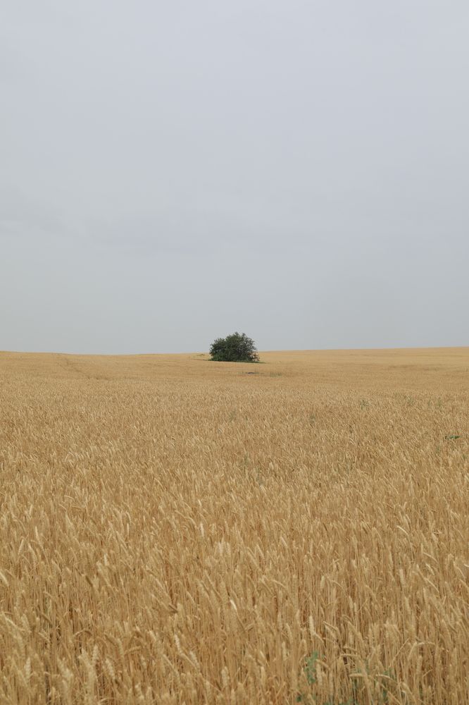 Photograph by Elena Ovsannikova