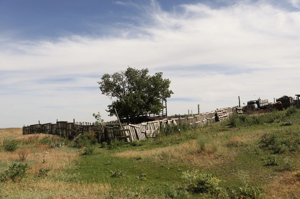 Photograph by Elena Ovsannikova