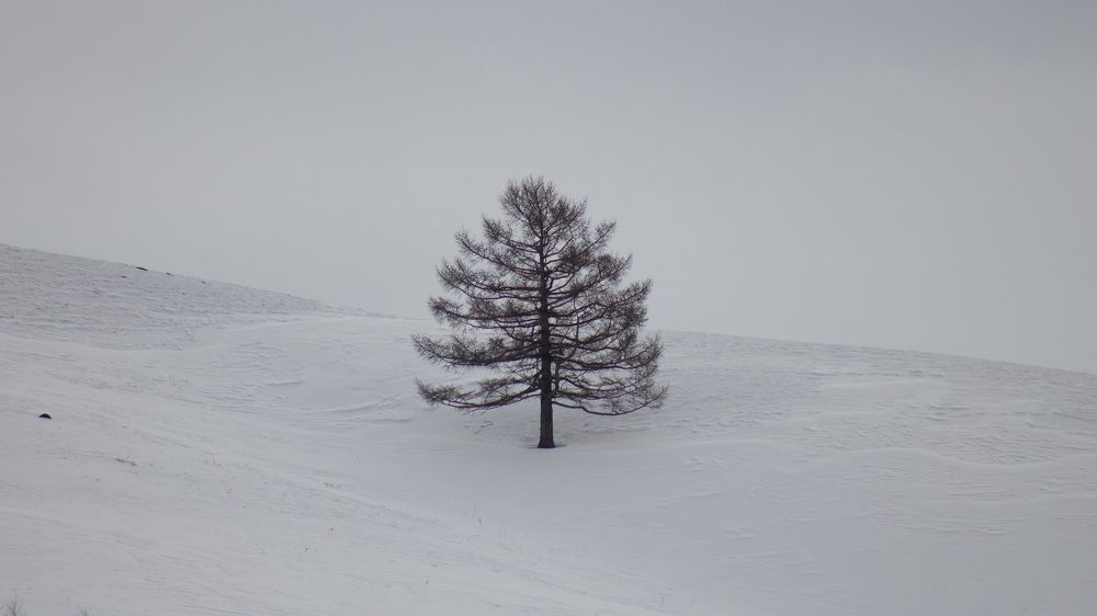 Photograph by Денис Давыдов