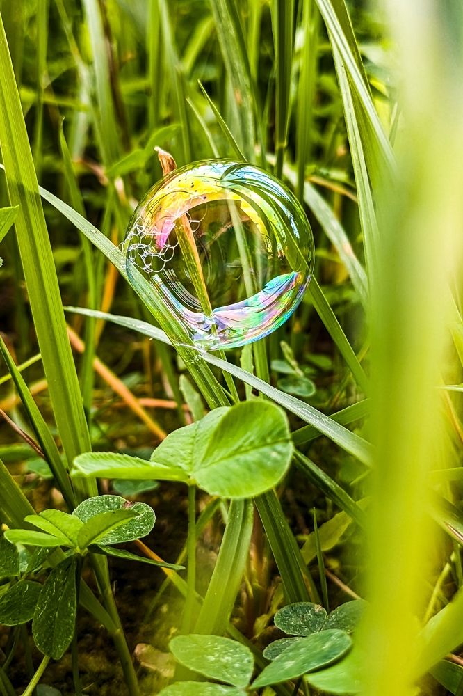 Photograph by Olya Smirnova