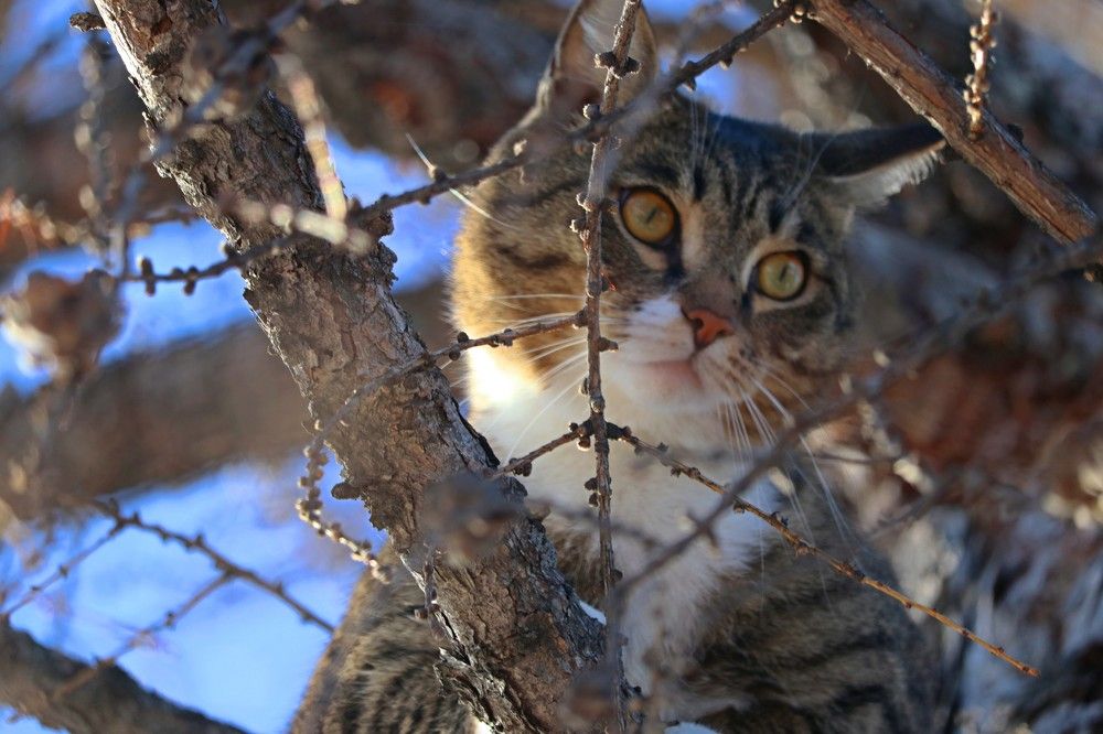 Photograph by Галина Мазур