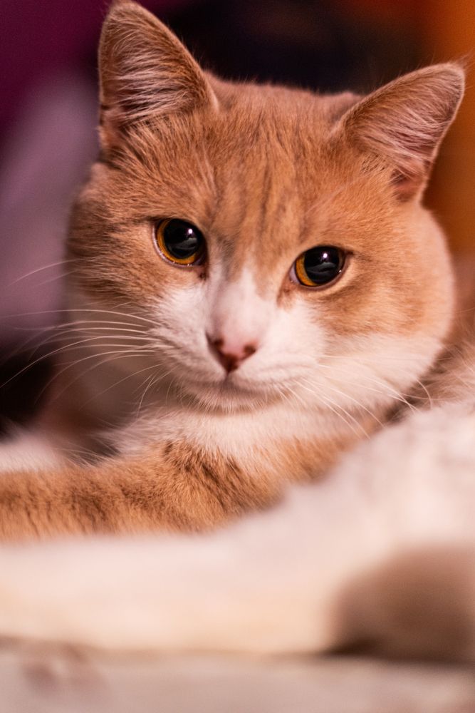 Photograph by Оксана Быковская