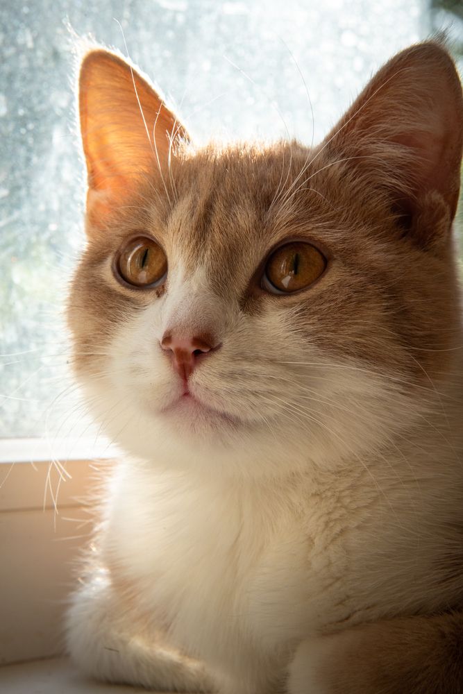 Photograph by Оксана Быковская