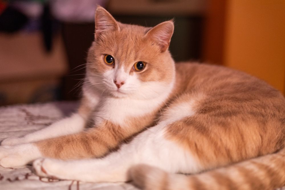 Photograph by Оксана Быковская