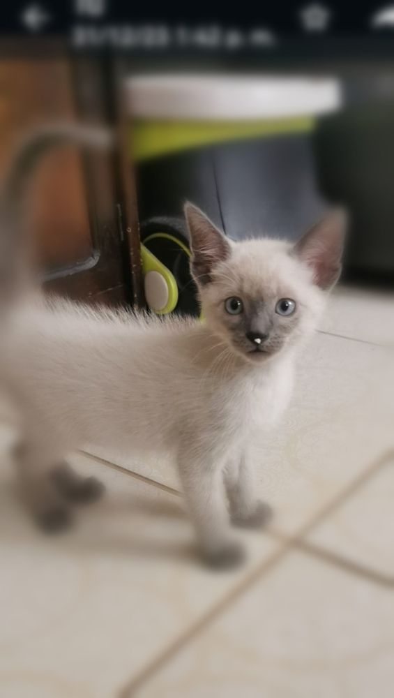 Photograph by Blanca Málaga