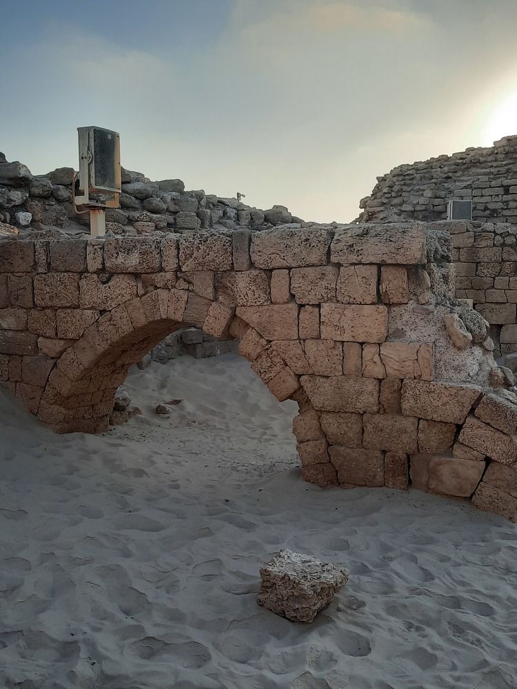 Фотография автора Tetiana Danylenko